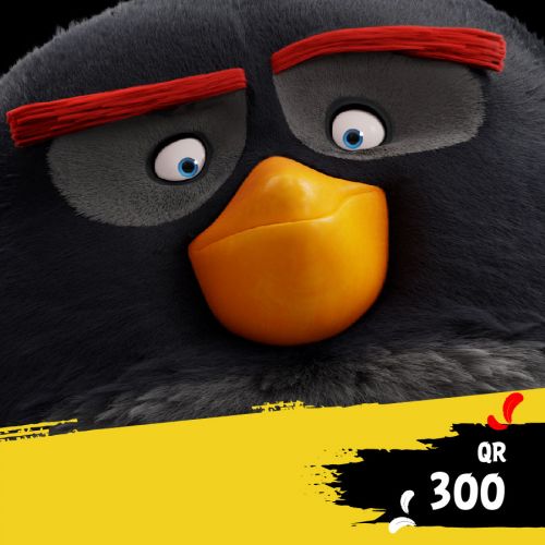 300 QR – Top Up