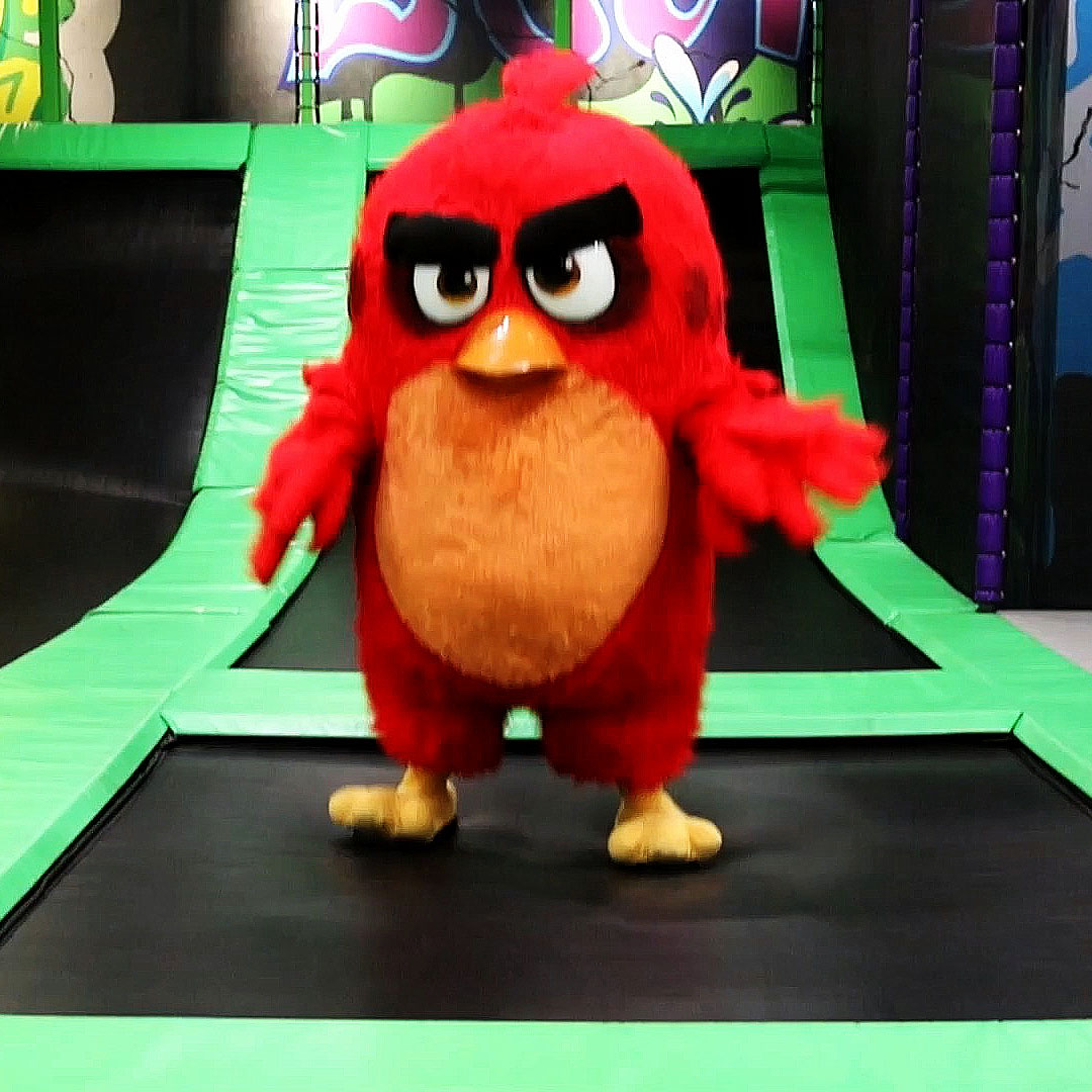 Trampoline Park Doha Qatar Trampoline Park Doha Qatar