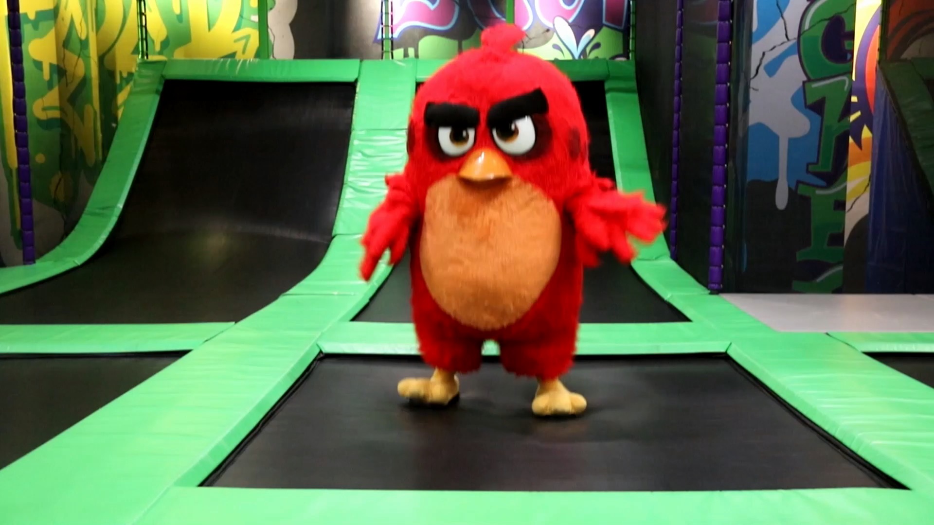 Trampoline Universe Angry birds World